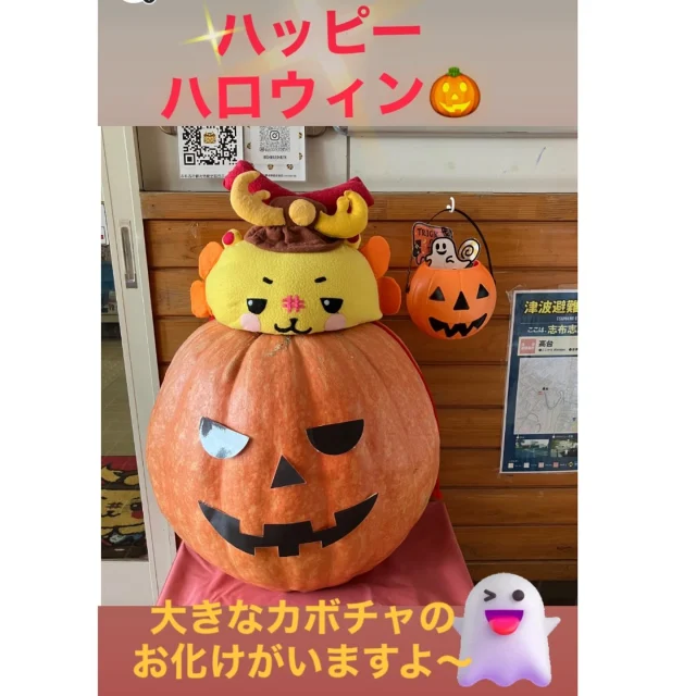 ＼ハッピーハロウィン👻／

あっという間に10月も中旬になりましたね✨

10月といえばハロウィンですね👻🎃✨

そこで志布志市総合観光案内所や、ロータリーの通路にハロウィンの飾りつけをしました🌞

案内所の入り口外側には、大きなカボチャのお化けもいますよ～💛

一緒に撮影されるときに使えるように、小物も作りましたので近くに来られた際は是非お越しください✨

#ハロウィン
#ハッピーハロウィン
#JR志布志駅
#JR日南線
#志布志市観光特産品協会
#志布志市総合観光案内所
#ジャンボかぼちゃ
#志武士ししまる
#パンフレットもいろいろあります