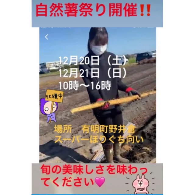 ＼自然薯まつり開催のお知らせ／

１２月２０日（土）・２１日（日）の２日間
志布志市有明町の丸山さんが、丹精込めて育てられた栄養たっぷりの自然薯の販売が行われます(^^)/✨

場所は志布志市有明町野井倉の「四季彩館 ほりぐち 志布志店」さんの前の道路（国道）向かい側の広場です。✨

自然薯はねっとり濃厚で体にとても良い食べ物です💛

皆さま是非、旬の美味しさを味わってみてください💛

#志布志市
#志布志市有明町野井倉
#新鮮な自然薯
#自然薯まつり
#旬の美味しさを味わってください
#丸山さんの自然薯
#志布志市観光特産品協会